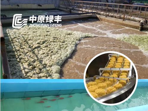 方便面生產廢水處理工程